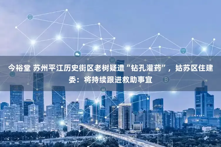 今裕堂 苏州平江历史街区老树疑遭“钻孔灌药”，姑苏区住建委：将持续跟进救助事宜